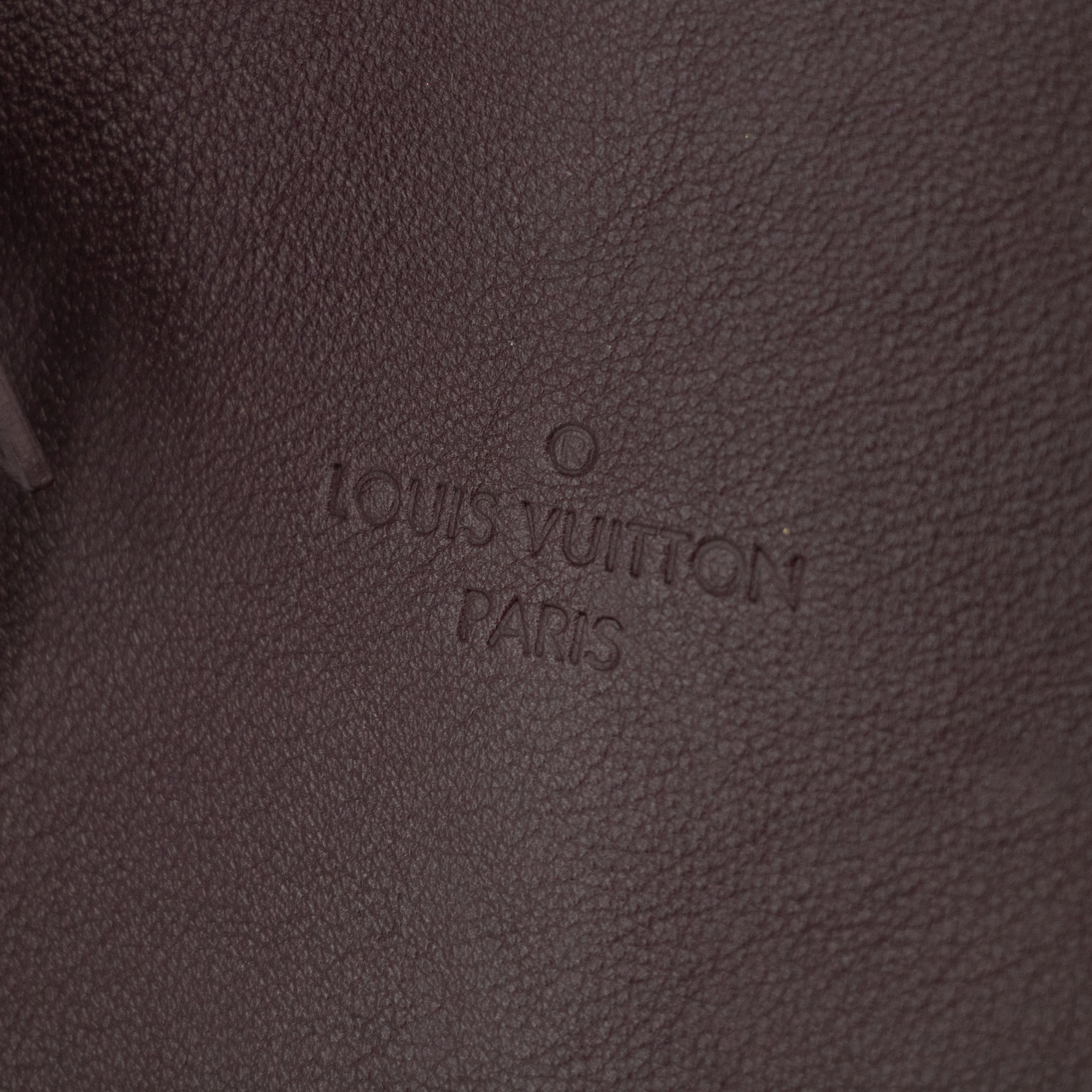 Louis Vuitton Purple Leather Rock it Handbag -#2548